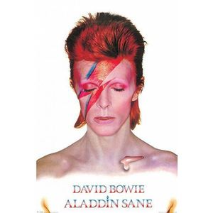 Aladdin Sane maxi poster 61 x 91,5 cm - Posters