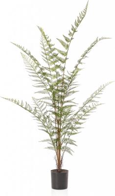 Forest fern x13 120 cm - Emerald