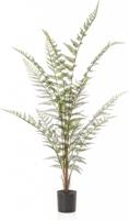 Forest fern x13 120 cm - Emerald