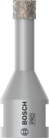 Bosch Accessoires Diamantboor Dryspeed 10X30 - 2608599041
