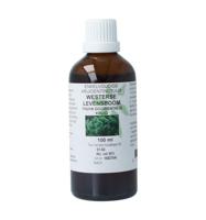Thuja occidentalis / levensboom tinctuur