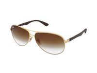 Zonnebrillen Ray-Ban RB8313 001/51