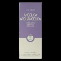 Oligoplant Angelica archangelica 120 Milliliter