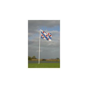 Friese Vlag 20x30 Cm