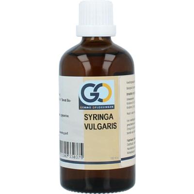 GO GO syringa vulgaris bio