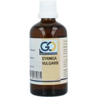 GO GO syringa vulgaris bio