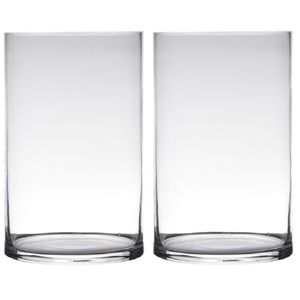 Set van 2x stuks transparante home-basics cylinder vorm vaas/vazen van glas 30 x 19 cm