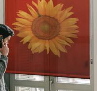 Rolgordijn bloemenprint Rood oranje zonnebloem
