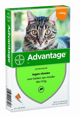 Bayer advantage kat