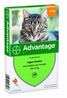 Bayer Advantage kat