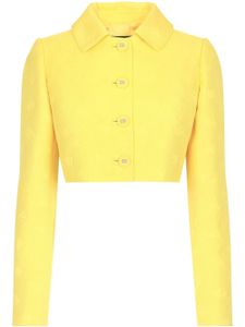 Dolce & Gabbana veste en jacquard à coupe crop - Jaune