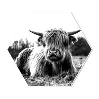 Hexagon Schotse Hooglander Liggend in het Gras 100 breed x 86.6 hoog Zwart - thumbnail
