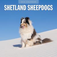 Shetland Sheepdog Kalender 2026