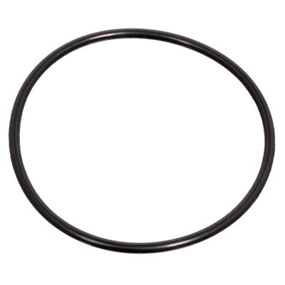 Dichtring, fuseelager 171440