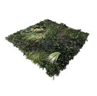 EasyLawn Grass Kunstplantenmat wandplant kunststof Forest 1m2 - Easylawn grass