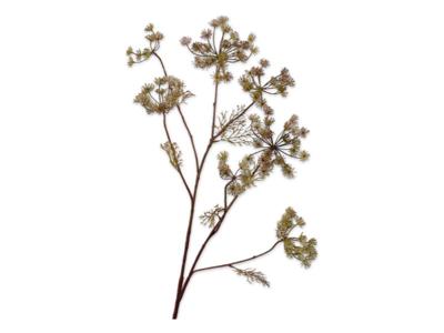 Dilletak l105 cm lichtroze - Silkka