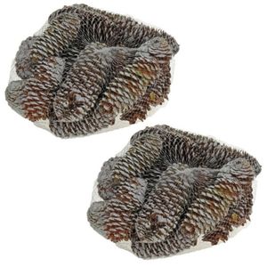 2x zakjes decoratie dennenappels bruin/sneeuw 8 cm