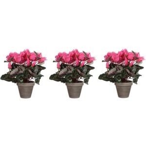 Voordeelset van 4x stuks roze cyclaam kunstplanten 30 cm in grijze pot