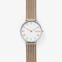 Horlogeband Skagen SKW2815 Staal Bi-Color 16mm
