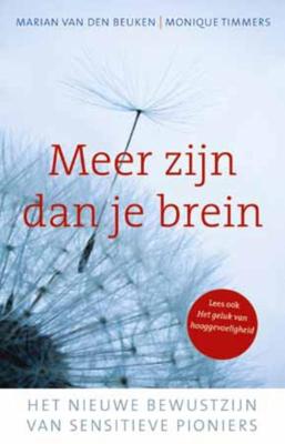 Meer zijn dan je brein (Paperback)