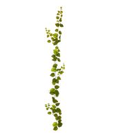 Pothos kunst guirlande 180cm - bont - thumbnail