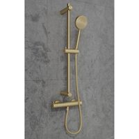 Douchekraan SaniClear Brass | Opbouw | Thermostaatkraan | 1-weg | hoh 15 cm | 2-knops | Rond | Goud