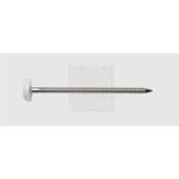 SWG 9841255030 Nagel met plastic kop (Ø x l) 2.5 mm x 50 mm RVS A4 80 stuk(s) - thumbnail
