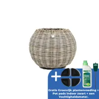 Drypot tina rotan d55h44cm bruin