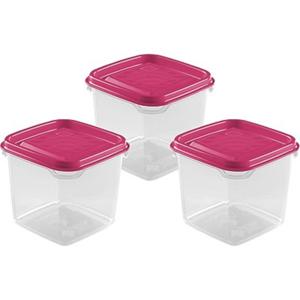 Vershoudbakjes Hega - set van 3x stuks - 0.3 liter - transparant/roze - L8 x B8 x H11 cm