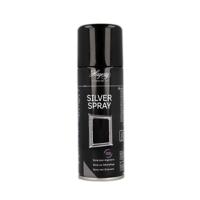 Hagerty Silver spray 200 Milliliter