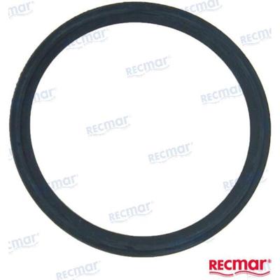 REC119578-49110 - THERMOSTAAT PAKKING Yanmar
