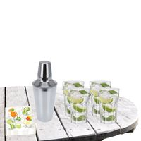 Cocktailshaker met 4x Cocktailglazen Mojito transparant 410 ml