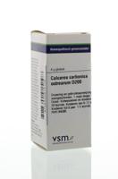 VSM Calcarea carbonica ostrearum D200 (4 gr)
