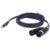 DAP FL46 stereo 3.5 mm jack naar 2 x XLR male 3 meter blauw