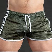 Voor heren Lange zwembroeken Zwemshorts Sneldrogend Lichtgewicht Boardshorts Badpak Met zakken Trekkoord Zwemmen Surfen Strand Watersport Gestreept Zomer Lightinthebox