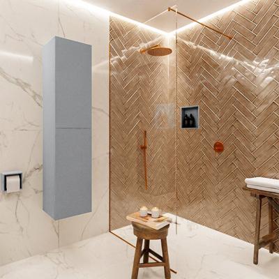Mondiaz Beam 160cm kolomkast kleur Plata met 2 deuren