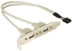 DeLOCK Slotbracket 1x internal USB 5pin > 2x USB2.0 external USB-kabel 0,3 m USB A Wit