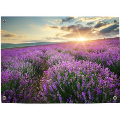 Tuinposter lavendel 4 - Pillow Buddies