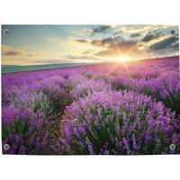 Tuinposter lavendel 4 - Pillow Buddies