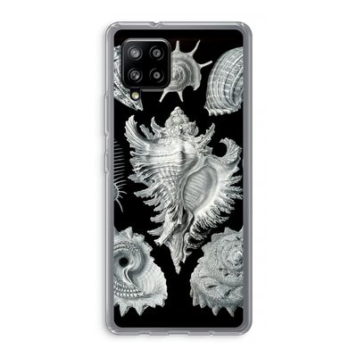 Haeckel Prosobranchia: Samsung Galaxy A42 5G Transparant Hoesje