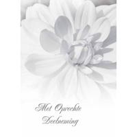 Wenskaarten Rouw pak a 10 stuks