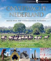 Reisgids Capitool Reisgidsen Onverwacht Nederland | Unieboek - thumbnail