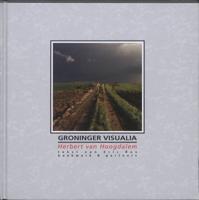 Groninger Visualia (Hardback)