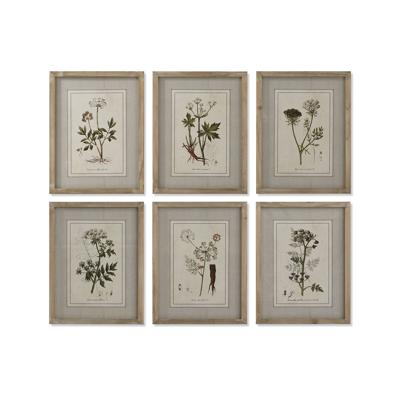 Schilderij Home ESPRIT Shabby Chic Botanische planten 30 x 2 x 40 cm (6 Stuks)