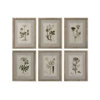 Schilderij Home ESPRIT Shabby Chic Botanische planten 30 x 2 x 40 cm (6 Stuks)