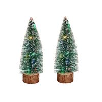 Krist+ Kleine decoraties kerstboompjes 2x stuks - 25 cm - met licht - Kerstdorpen - thumbnail