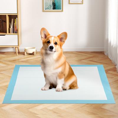 Trainingsmaterialen Honden Uitloopveilige 6-laags ontwerp Puppy-matten (90 x 60 cm 150 Stuks)