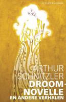 Droomnovelle en andere verhalen (Paperback)