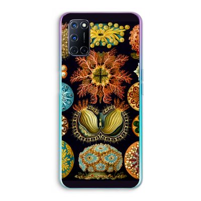 Haeckel Ascidiae: Oppo A52 Transparant Hoesje