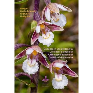 Orchideeën van de Benelux - (ISBN:9789083141107)